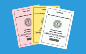 PrimekhabarPunjab Ration
