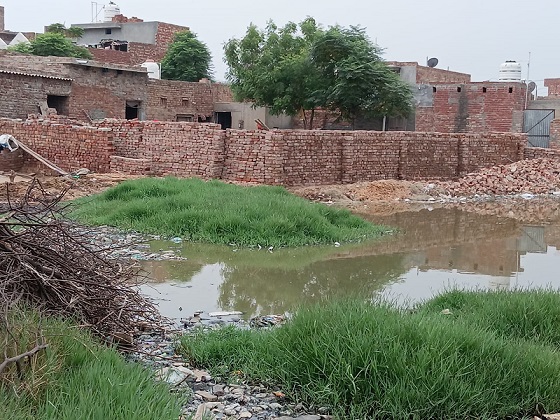 PrimeKhabarPunjab Kabja