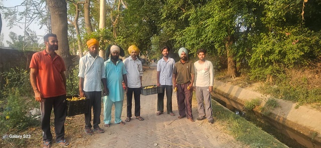 Iklag Jangal