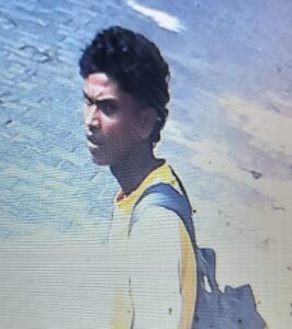 PrimekhabarPunjab Chor