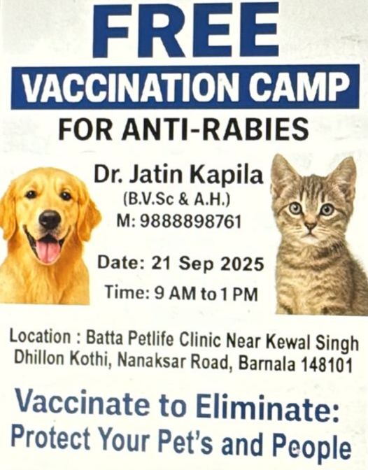 PrimeKhabarPunjab Jatin Kapila