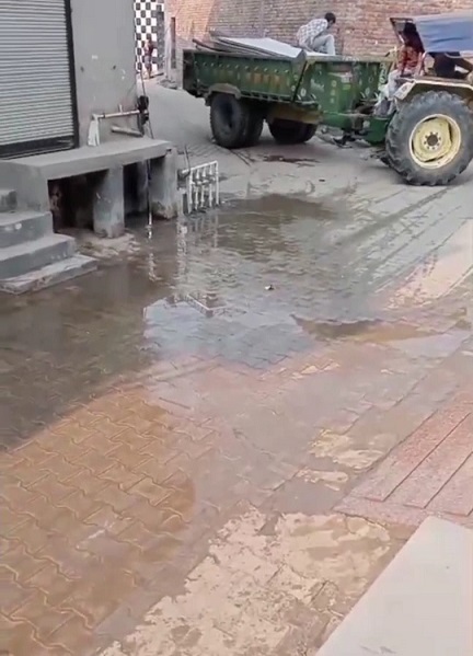 PrimekhabarPunjab Naali smsya