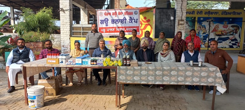 Primepunjab Gaushala