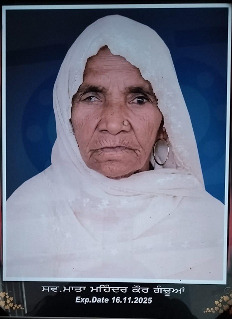 WhatsApp Image 2025-11-23 at 17.50.18