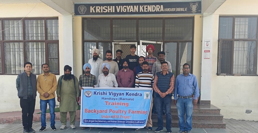 WhatsApp Image 2026-03-03 at 13.33.51