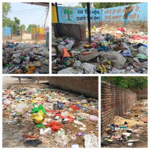 PrtimekhabarPunjab Safai