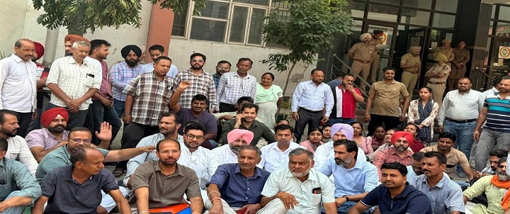 WhatsApp Image 2026-05-19 at 19.37.01